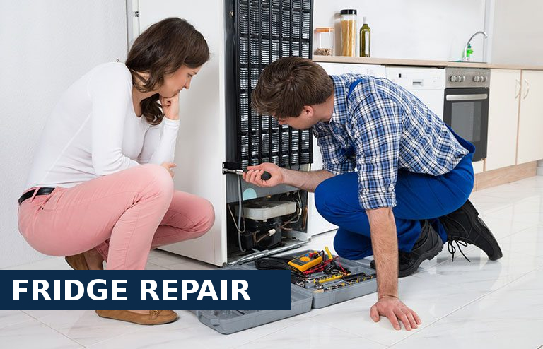 Fridge Repair Fulham
